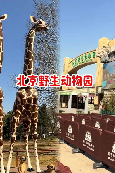 北京动物园新动物有哪些_北京动物园新动物在哪里看-第3张图片-俊逸知识馆