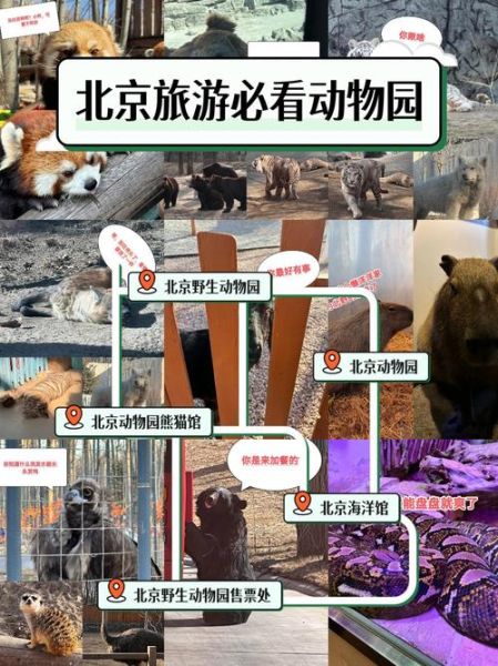 北京动物园新动物有哪些_北京动物园新动物在哪里看-第1张图片-俊逸知识馆