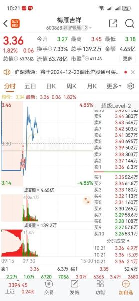 梅雁吉祥股票股吧_梅雁吉祥还能买吗-第1张图片-俊逸知识馆