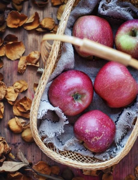 苹果拍怎么样_苹果拍照效果好吗-第2张图片-俊逸知识馆 苹果拍怎么样_苹果拍照效果好吗-第2张图片-俊逸知识馆