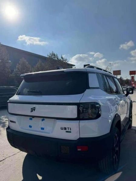 t1怎么样_t1值正常范围是多少-第2张图片-俊逸知识馆