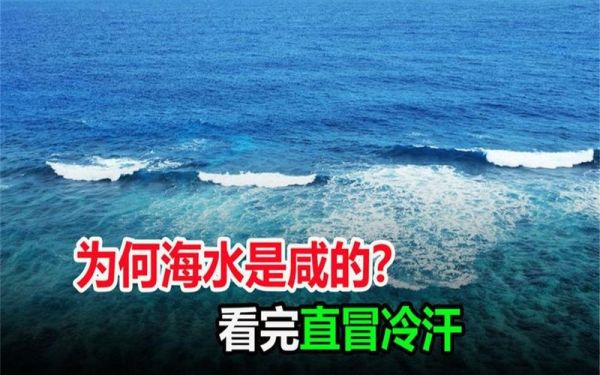 海水喝了会怎么样_喝海水后身体反应-第3张图片-俊逸知识馆