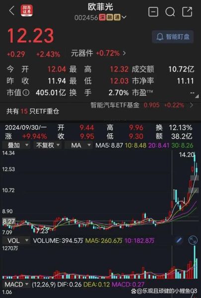 002456股票行情_欧菲光股价走势分析-第3张图片-俊逸知识馆