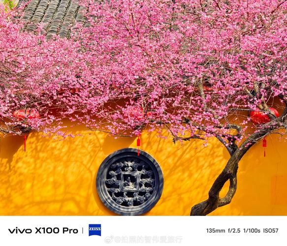 vivo手机拍照怎么样_vivo手机拍照真实效果好吗-第3张图片-俊逸知识馆