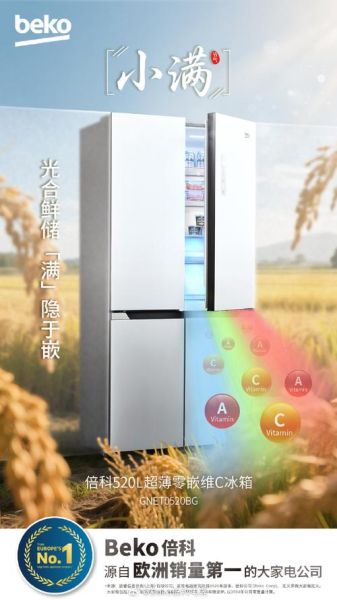 beko冰箱质量怎么样_beko洗衣机值得买吗-第2张图片-俊逸知识馆