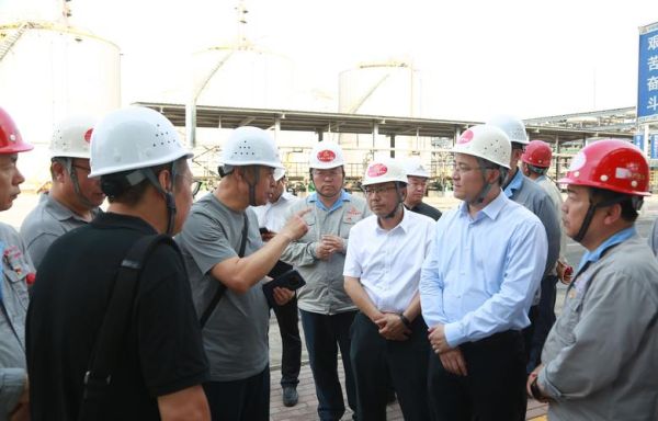 太化股份股票怎么样_太化股份未来走势分析-第3张图片-俊逸知识馆