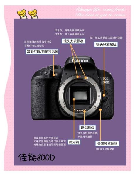 佳能800d值得买吗_佳能800d参数详解-第1张图片-俊逸知识馆 佳能800d值得买吗_佳能800d参数详解-第1张图片-俊逸知识馆