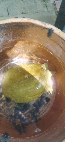 快活林怎么样_快活林值得去吗-第2张图片-俊逸知识馆