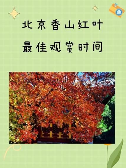 北京香山公园门票价格_香山红叶什么时候最红-第1张图片-俊逸知识馆