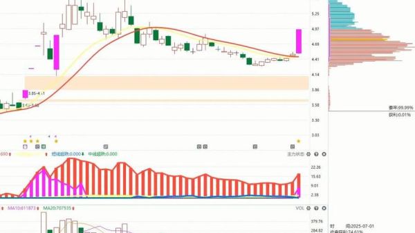 华银电力股票值得买吗_华银电力股票未来走势-第2张图片-俊逸知识馆