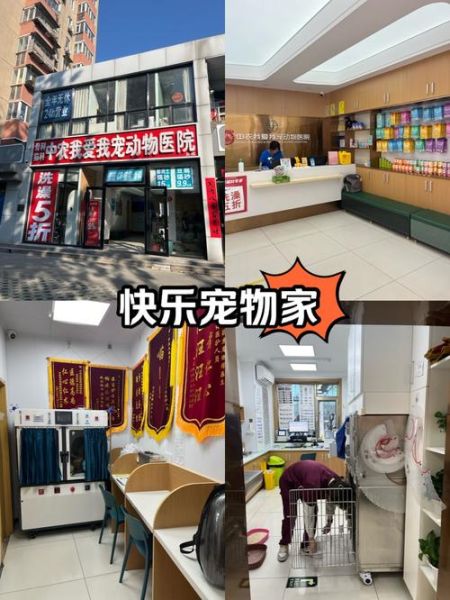 北京观赏动物医院哪家好_价格贵不贵-第1张图片-俊逸知识馆