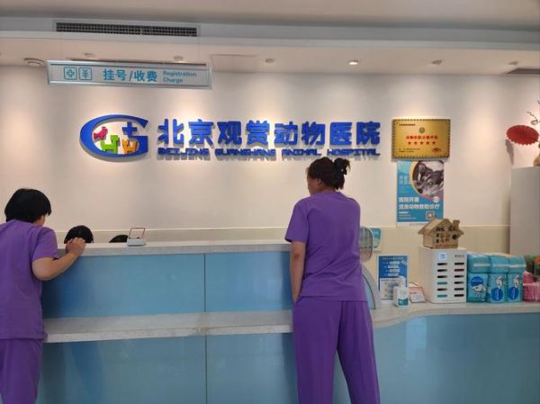 北京观赏动物医院哪家好_价格贵不贵-第2张图片-俊逸知识馆