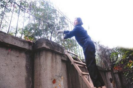 怎么样翻墙_翻墙违法吗-第1张图片-俊逸知识馆