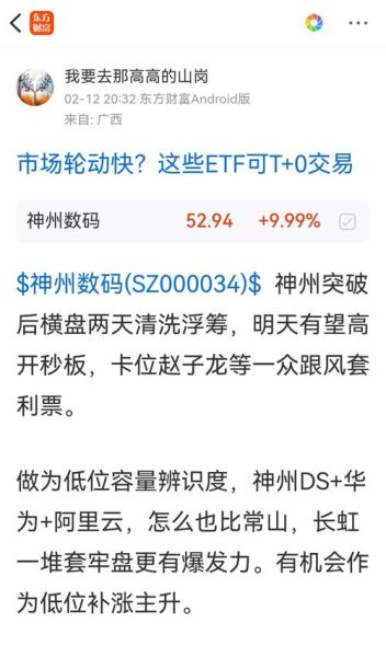 神州数码股票股吧_现在还能买吗-第2张图片-俊逸知识馆