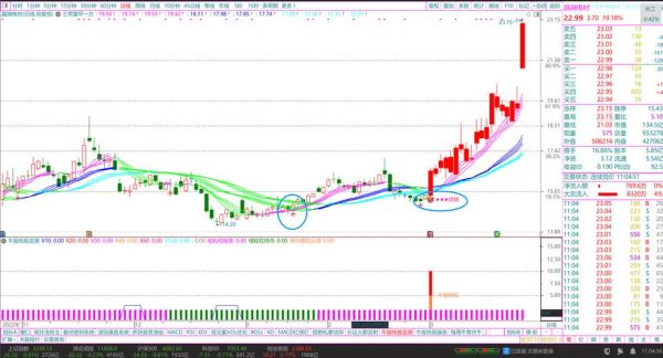 晶瑞股票值得买吗_300655未来走势分析-第1张图片-俊逸知识馆
