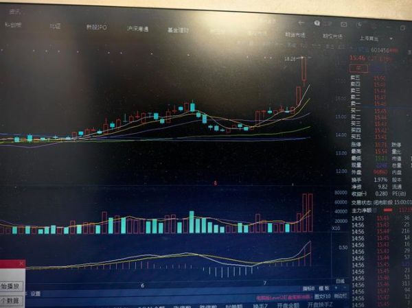 603456股价走势_603456值得长期持有吗-第3张图片-俊逸知识馆