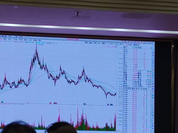 600601股票行情_未来走势如何-第3张图片-俊逸知识馆 600601股票行情_未来走势如何-第3张图片-俊逸知识馆