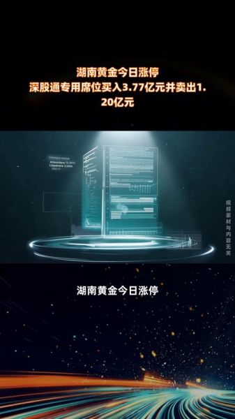 湖南黄金股票怎么样_湖南黄金股票值得长期持有吗-第3张图片-俊逸知识馆