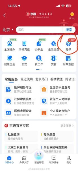 北京社保服务平台登录不了怎么办_北京社保个人缴费记录怎么查-第2张图片-俊逸知识馆