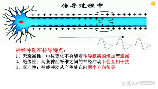 电信号是什么_电信号怎么传输-第2张图片-俊逸知识馆 电信号是什么_电信号怎么传输-第2张图片-俊逸知识馆