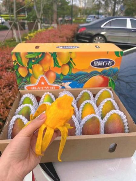 芒果网怎么样_芒果网旅游靠谱吗-第2张图片-俊逸知识馆