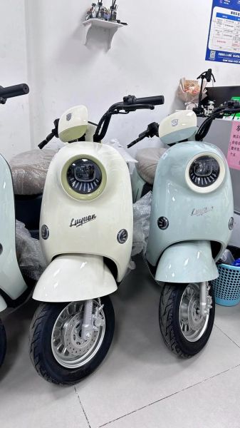 绿源电瓶车质量怎么样_绿源电动车哪款性价比高-第1张图片-俊逸知识馆