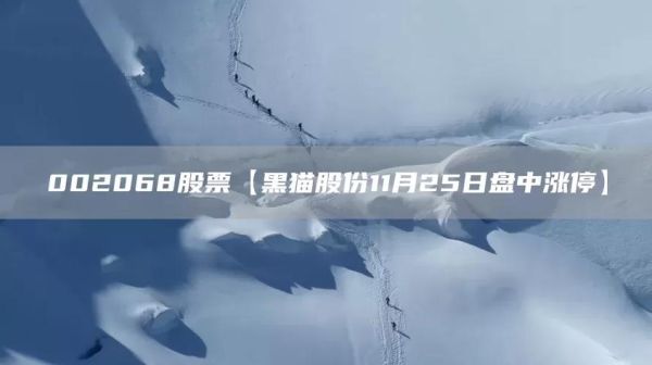 黑猫股票是什么_黑猫股票值得买吗-第1张图片-俊逸知识馆 黑猫股票是什么_黑猫股票值得买吗-第1张图片-俊逸知识馆