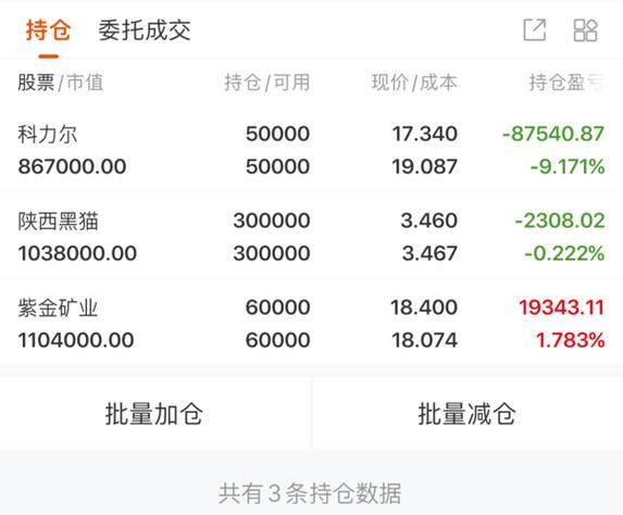黑猫股票是什么_黑猫股票值得买吗-第2张图片-俊逸知识馆 黑猫股票是什么_黑猫股票值得买吗-第2张图片-俊逸知识馆