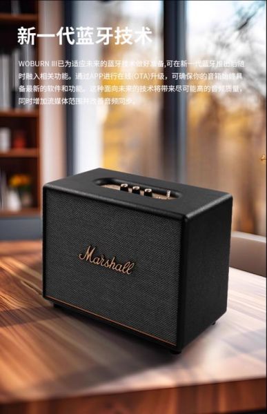 马歇尔音箱怎么样_值得买吗-第1张图片-俊逸知识馆