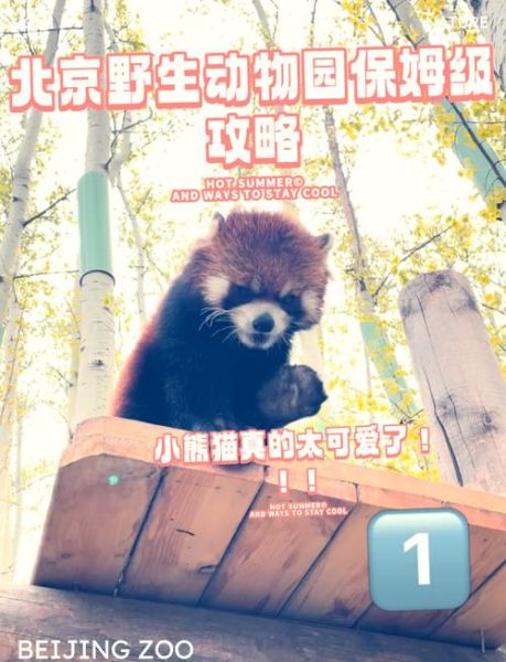 北京动物园几点开门_北京动物园开放时间-第1张图片-俊逸知识馆