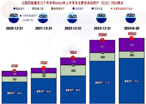 云图控股股票值得买吗_云图控股股票未来走势如何-第3张图片-俊逸知识馆