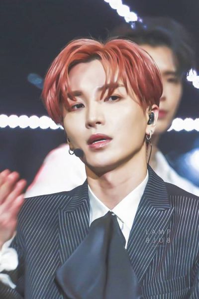 利特怎么样_利特优缺点全解析-第1张图片-俊逸知识馆