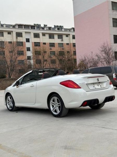 308怎么样_308值不值得买-第2张图片-俊逸知识馆 308怎么样_308值不值得买-第2张图片-俊逸知识馆