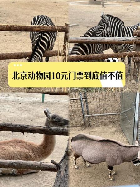 北京动物园门票多少钱_北京动物园游玩攻略-第1张图片-俊逸知识馆